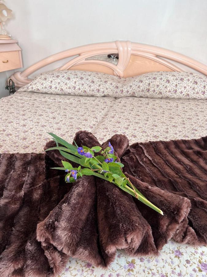 Sun-Soaked Apt W Patio, Balcony & Garden - Aguilas La Orotava Ngoại thất bức ảnh