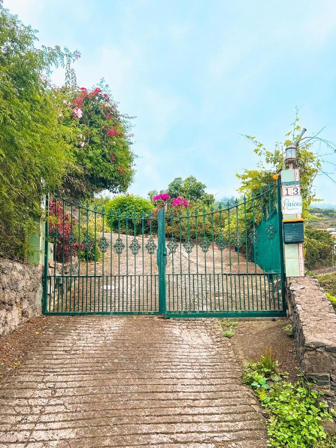 Sun-Soaked Apt W Patio, Balcony & Garden - Aguilas La Orotava Ngoại thất bức ảnh