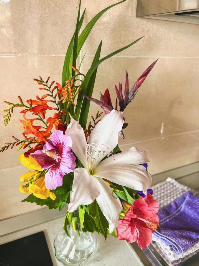 Sun-Soaked Apt W Patio, Balcony & Garden - Aguilas La Orotava Ngoại thất bức ảnh
